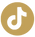 Tiktok_icon
